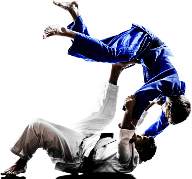 Judo slika