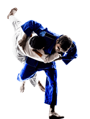 Judo slika