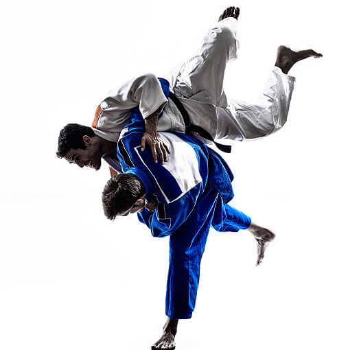 Judo slika